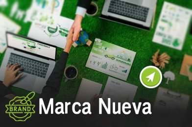 Diseno de marcas branding emprendimientos en costa-rica