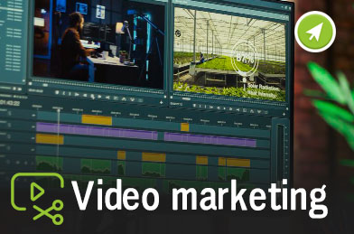 Videos reels historias